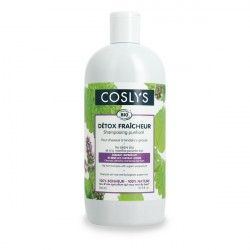 Shampooing cheveux gras 500ml