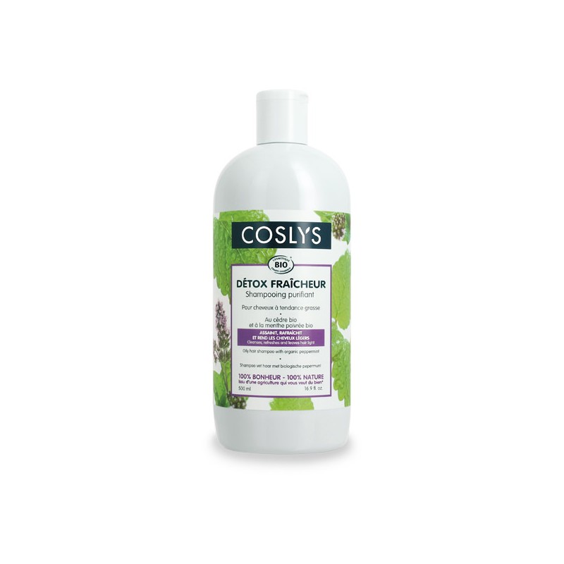 Shampooing cheveux gras 500ml